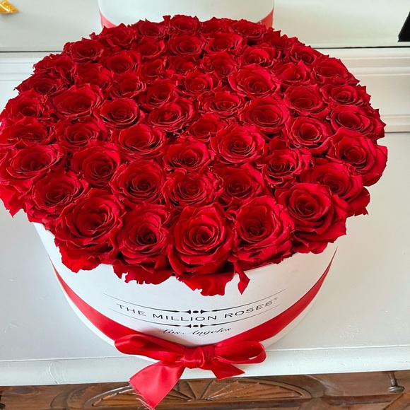 The Millions Roses - Picture 3 of 8